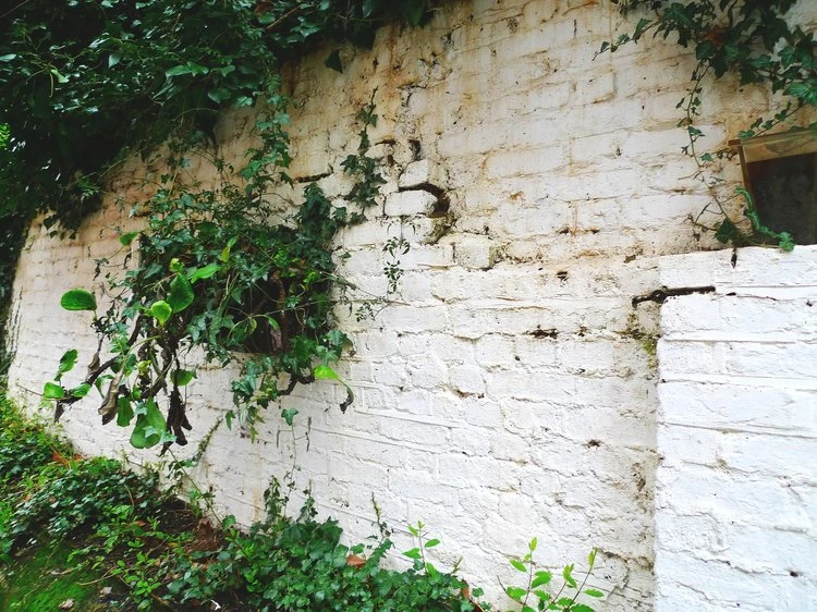 Party Wall Surveyor Specialist London | Dfpartywalls