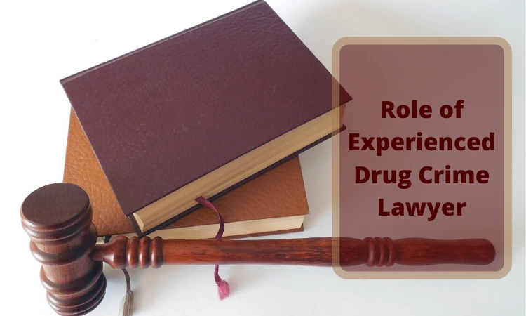 Role of Experienced Drug Crime Lawyer