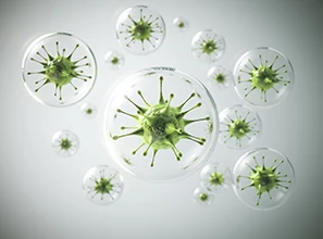 Career Pathways: Top Jobs Available after Completing an M.Sc in Biotechnology