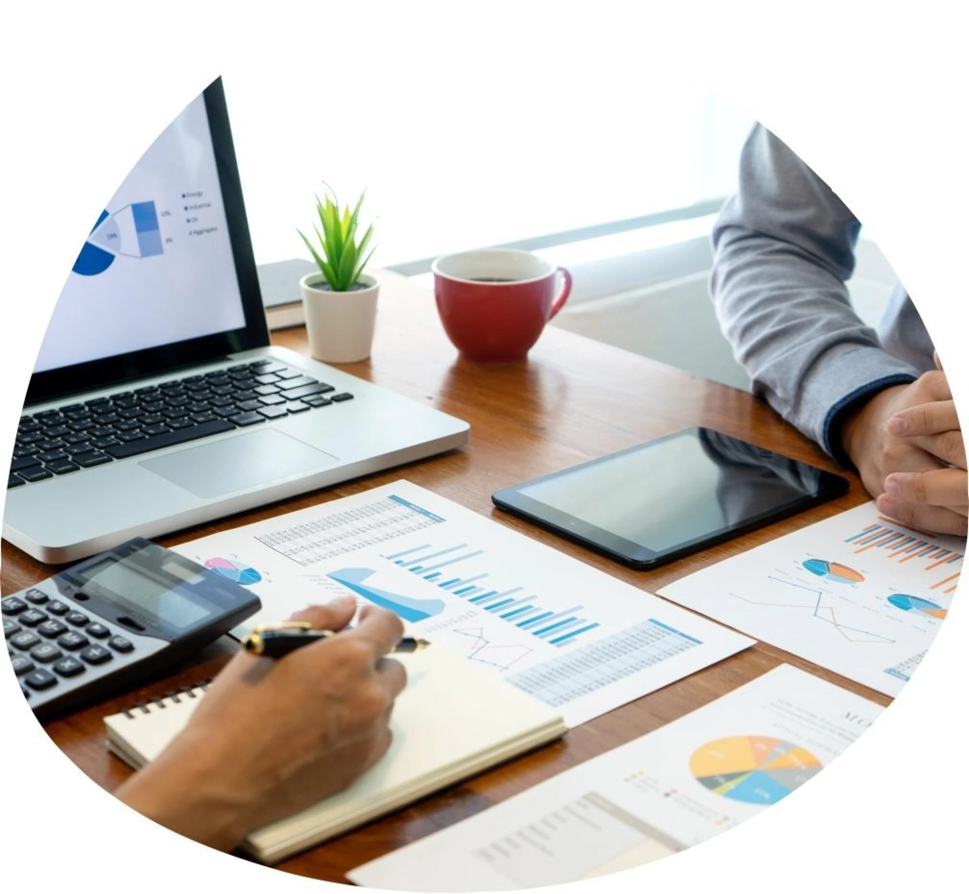 E-commerce developers in India