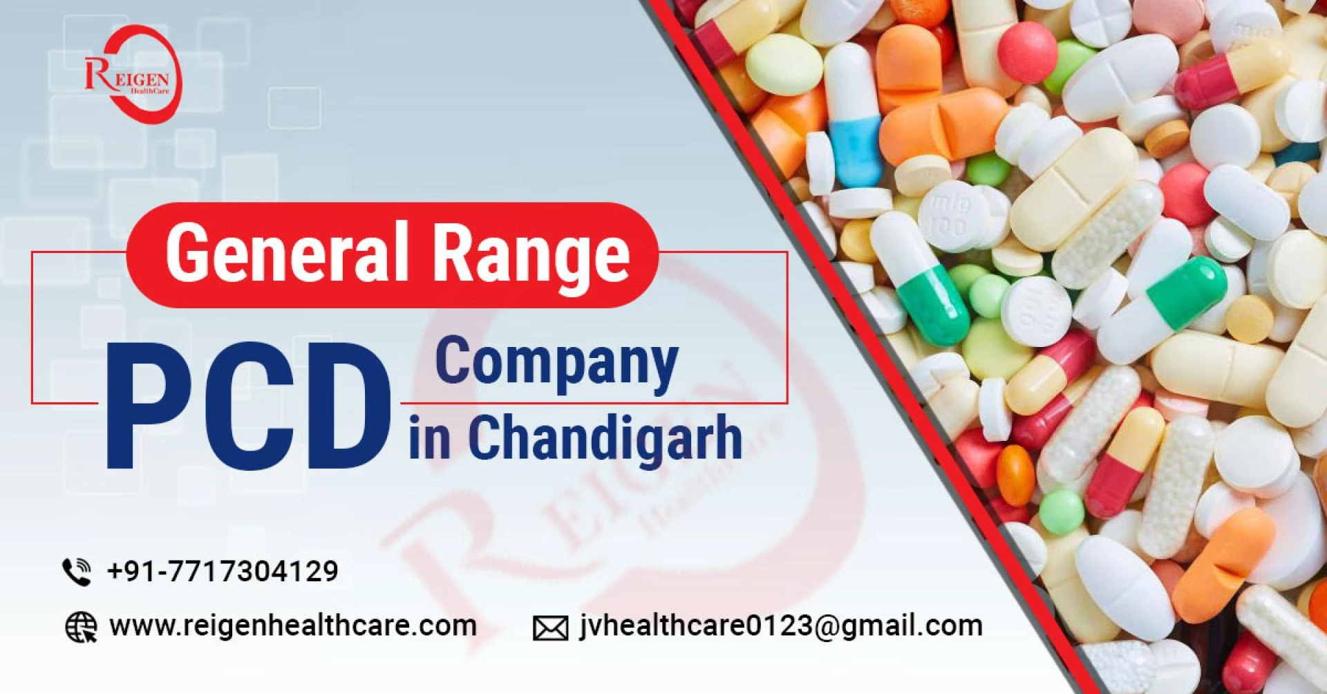 The Path to Success: PCD Pharma Franchise for General Medicine Range