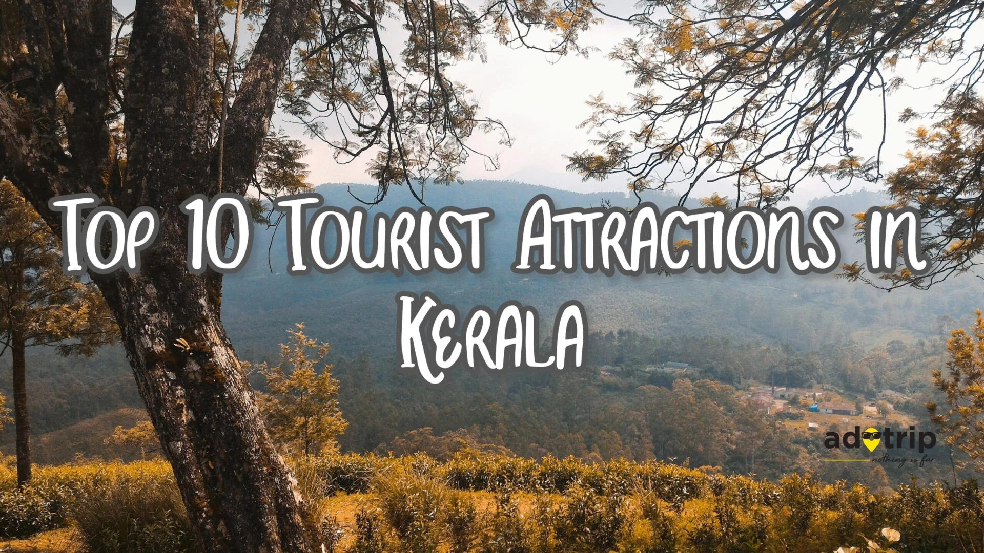 Top 10 Tourist Attractions in Kerala