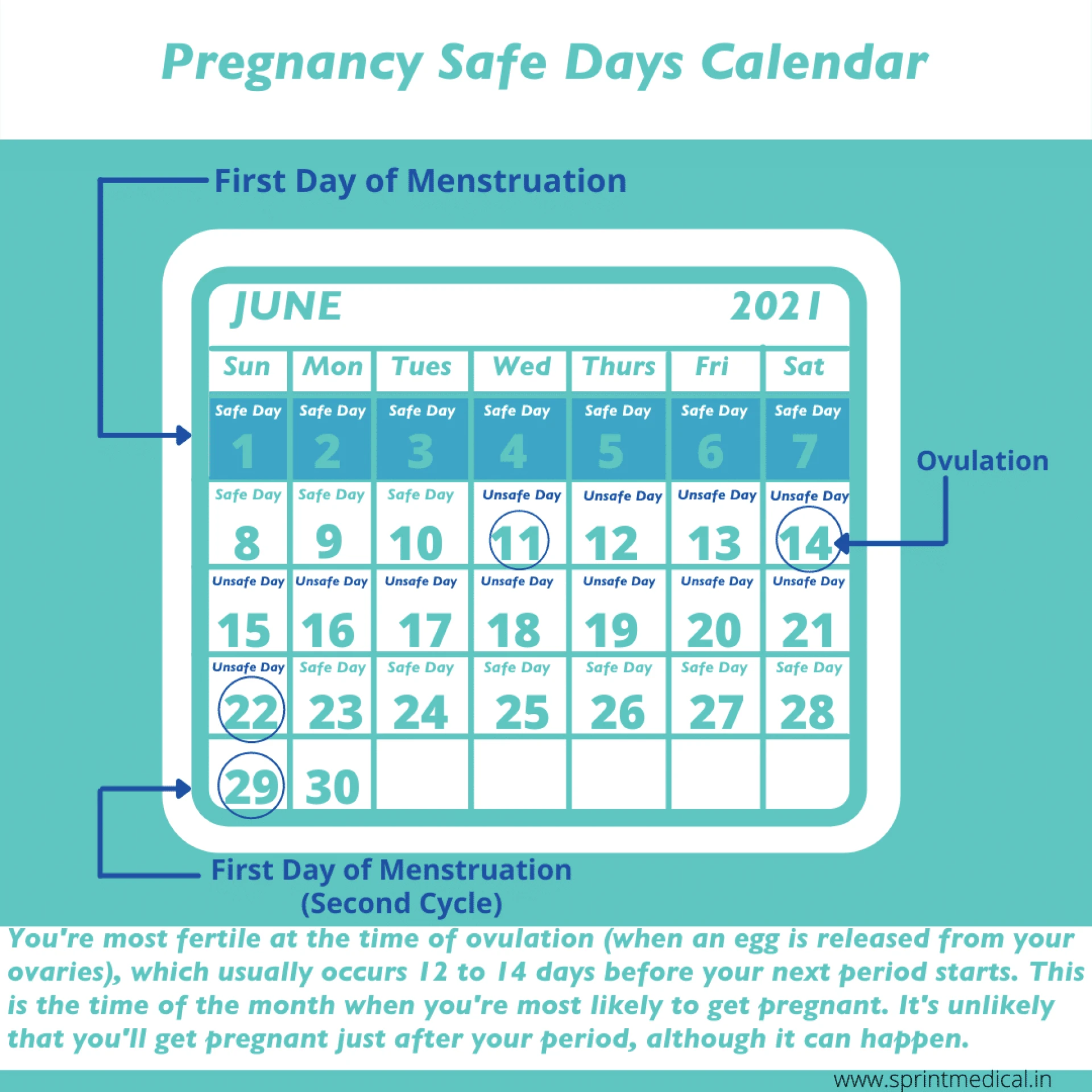 Safe Days Calculator - Have Safe Sex and Avoid Unwanted Pregnancy