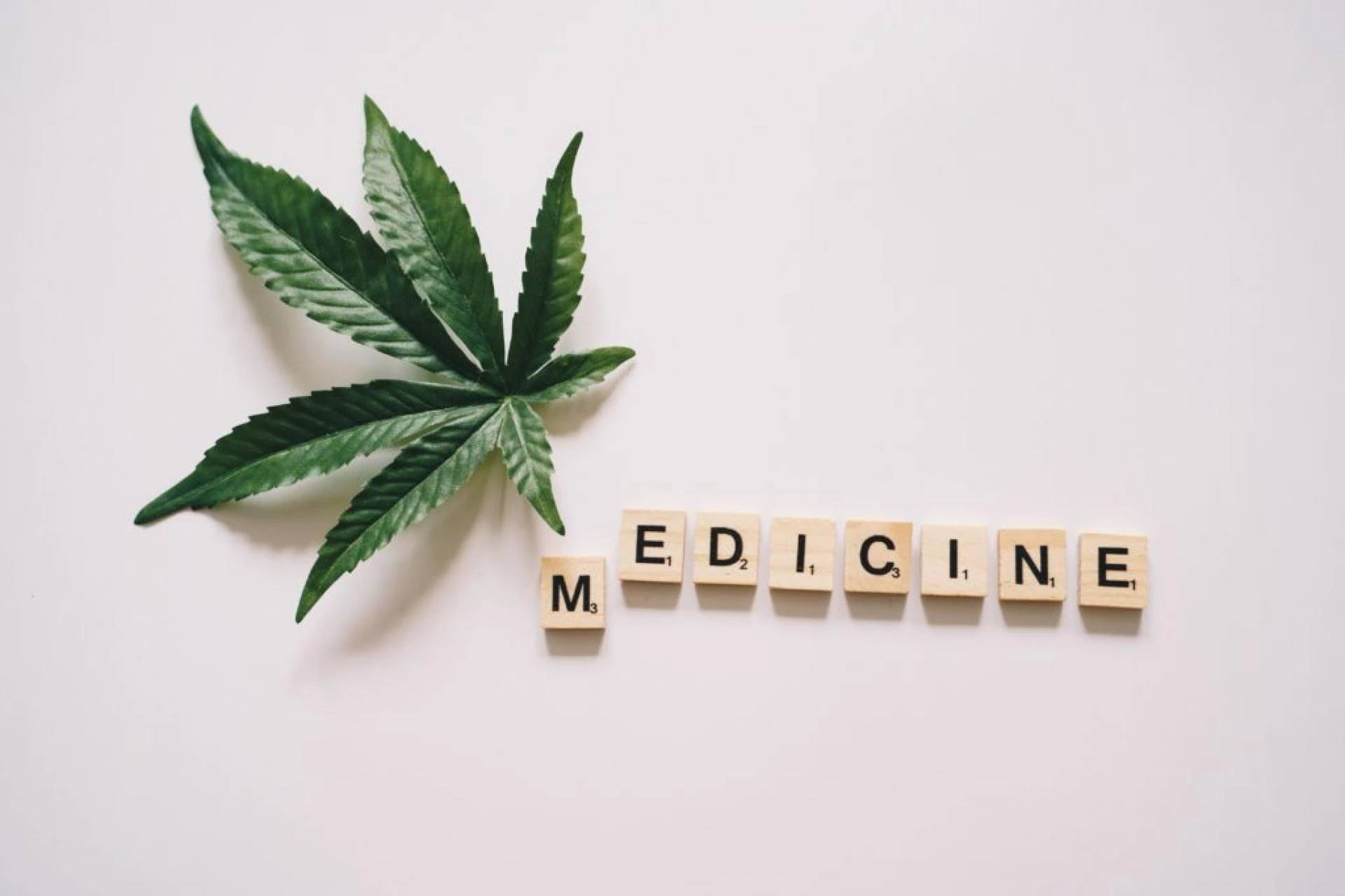 Gaschata Strain: Unleashing a Fusion of Gas Effects and Benefits