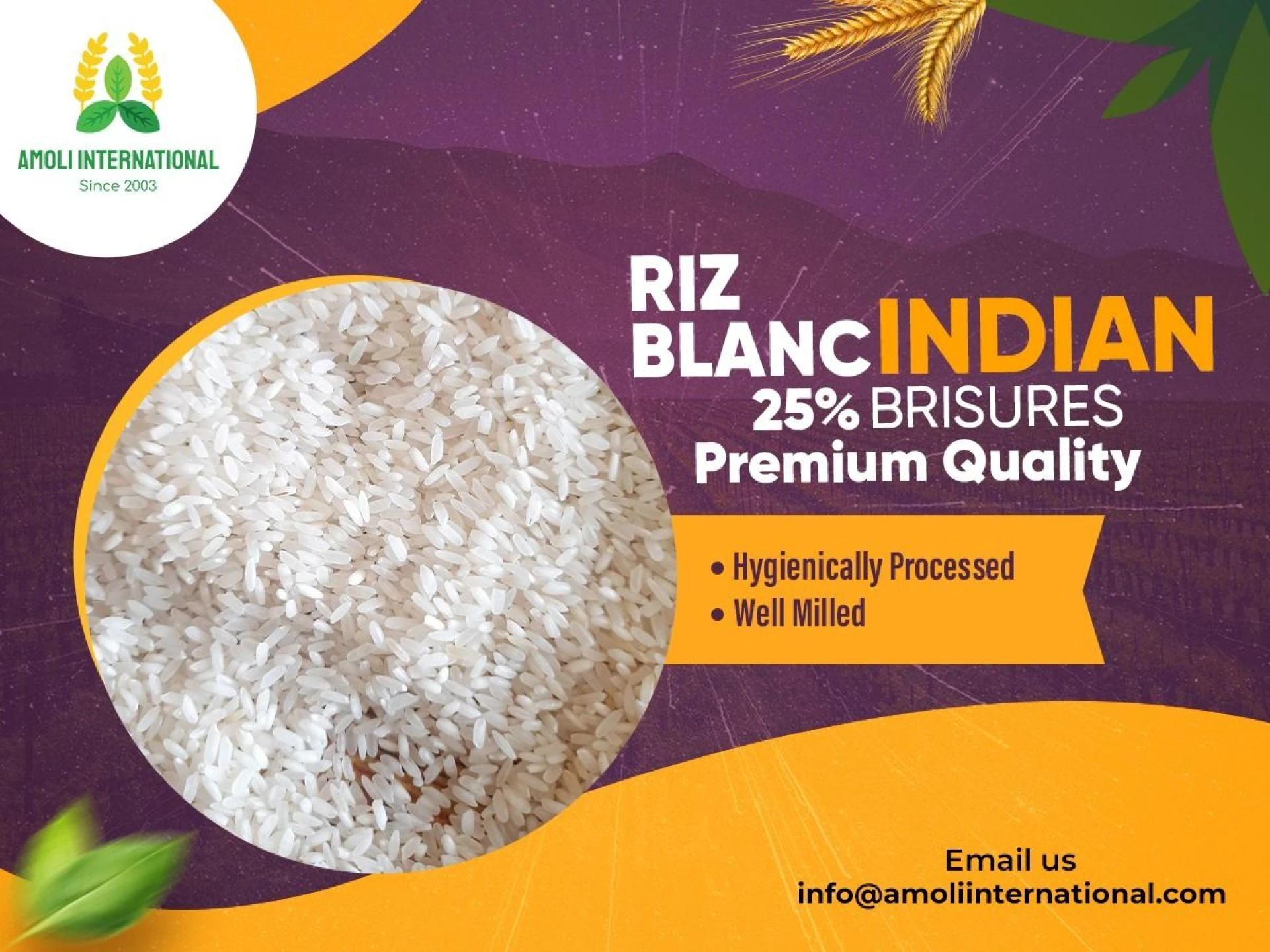 Riz Blanc Indian 25% Brisures Premium Quality