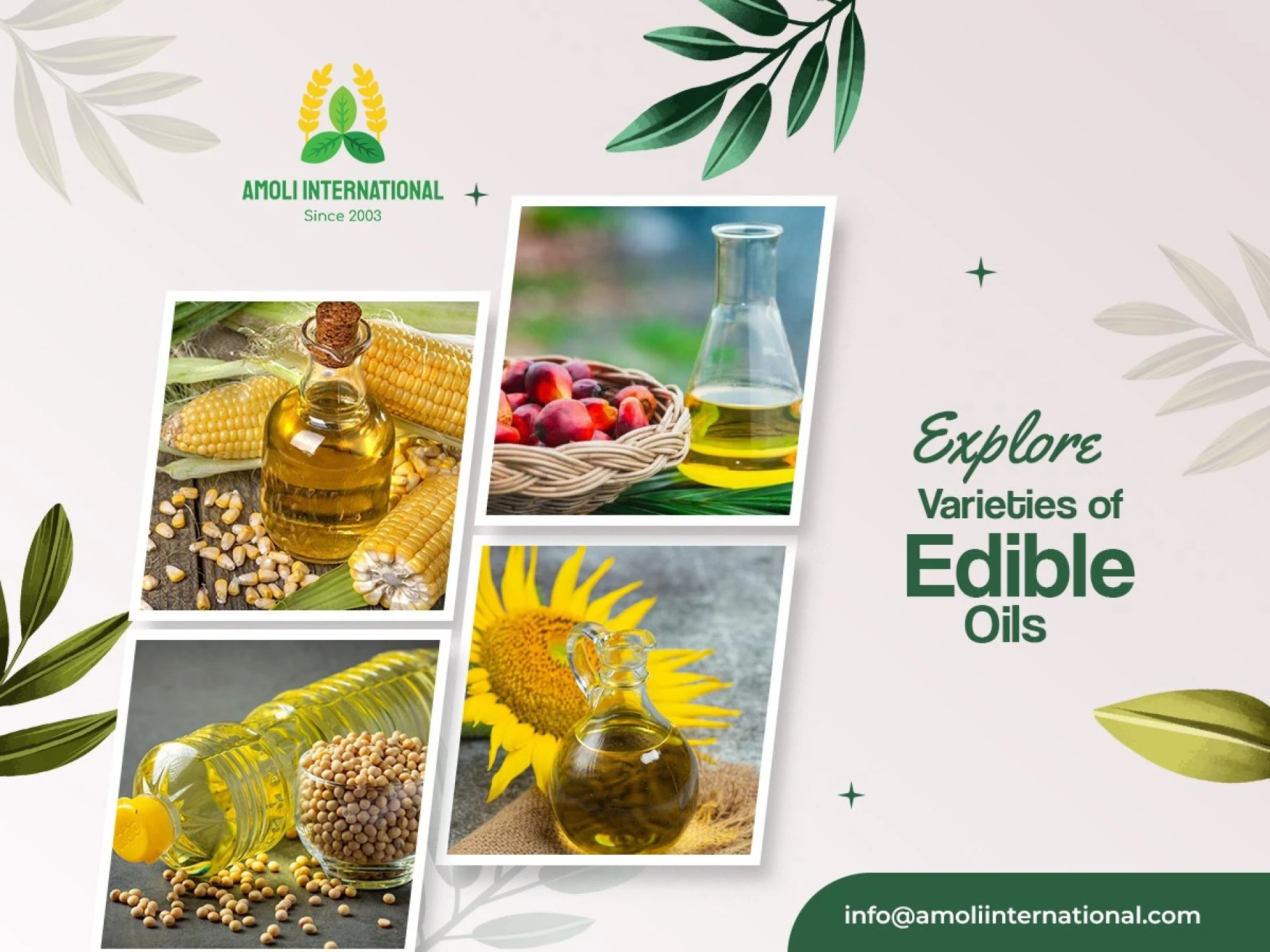 Explore Varieties of Edible Oils