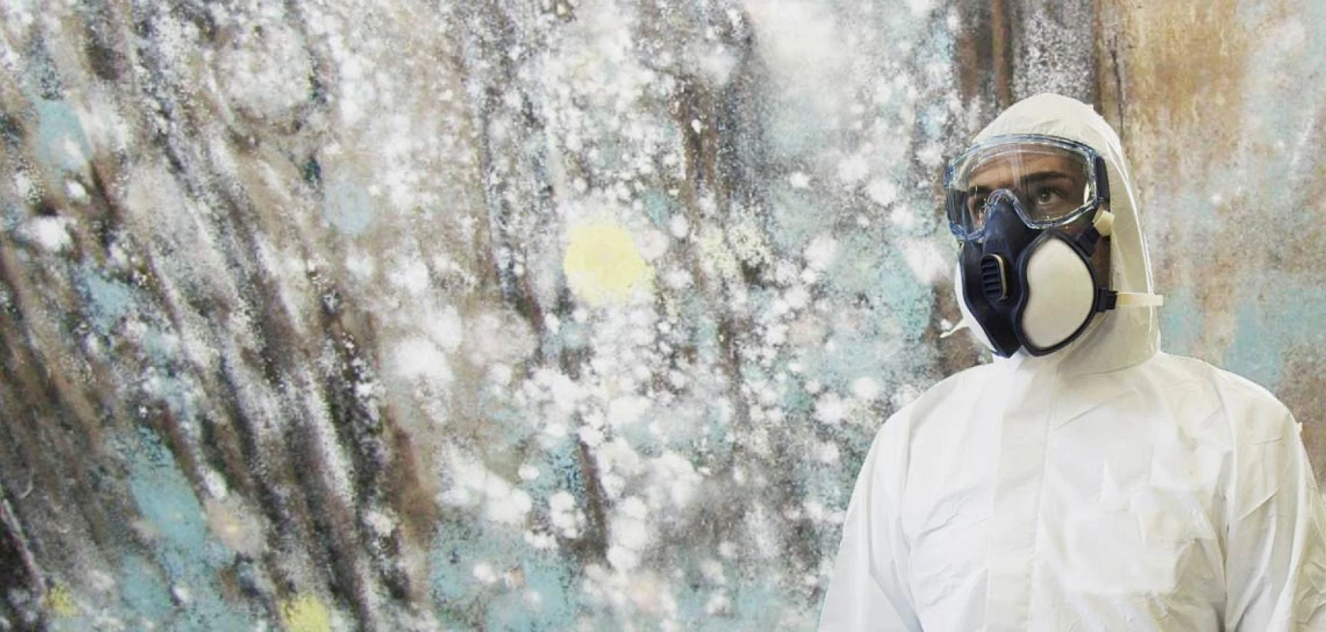 Importance of professional Mold Inspection and Testing services for San Francisco Bay Area Homebuyer