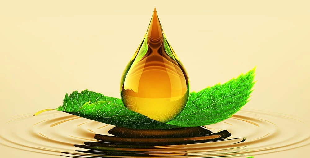 Biolubricants Market Share, Growth, Opportunities, Size Competitive Strategies &amp; Forecasts Analysis Report 2019 – 2027
