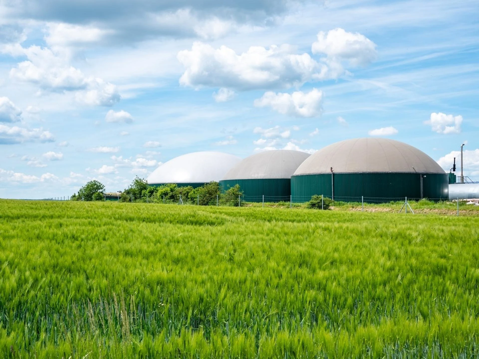 Biogas Market Rapidly Increasing Growth Latest Report With Future Estimations, Current Trends And Opportunity Analysis 2019 - 2027