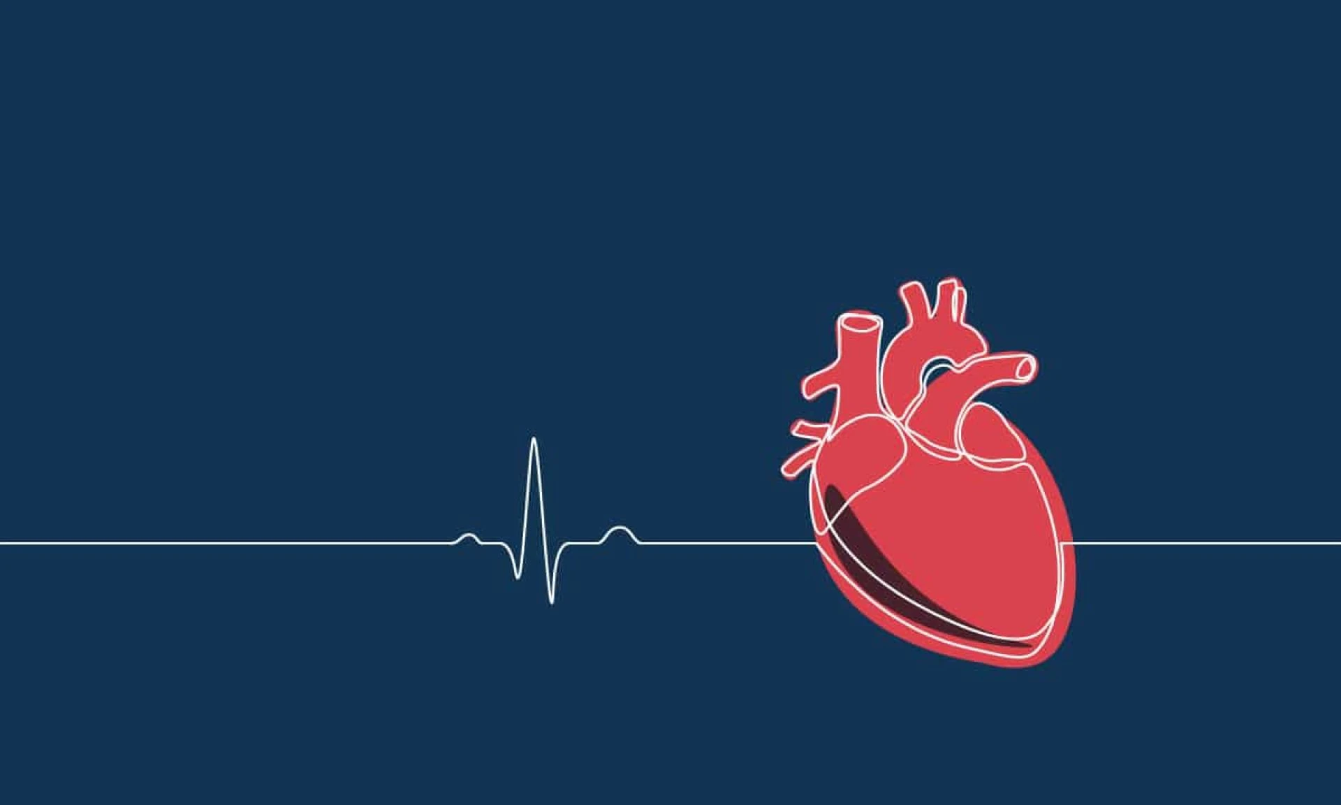 Organ Transplant Market Share Growing Rapidly with Development, Recent Trends, Revenue and Forecast to 2018-2026