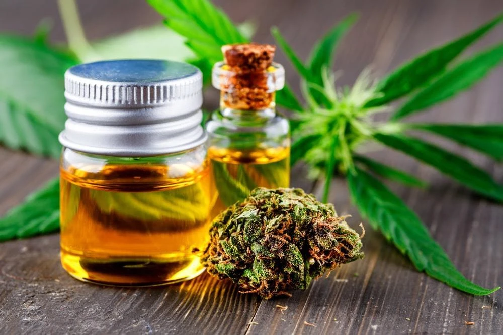 Cannabidiol Market Analysis, Demand, Revenue, Statistics and Trend Analysis Research Report by 2021 - 2028