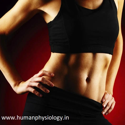 TicketMaster Customer Service +1(888)-649-403O Phone Number ({[Ticketmaster]})&amp;^%$.