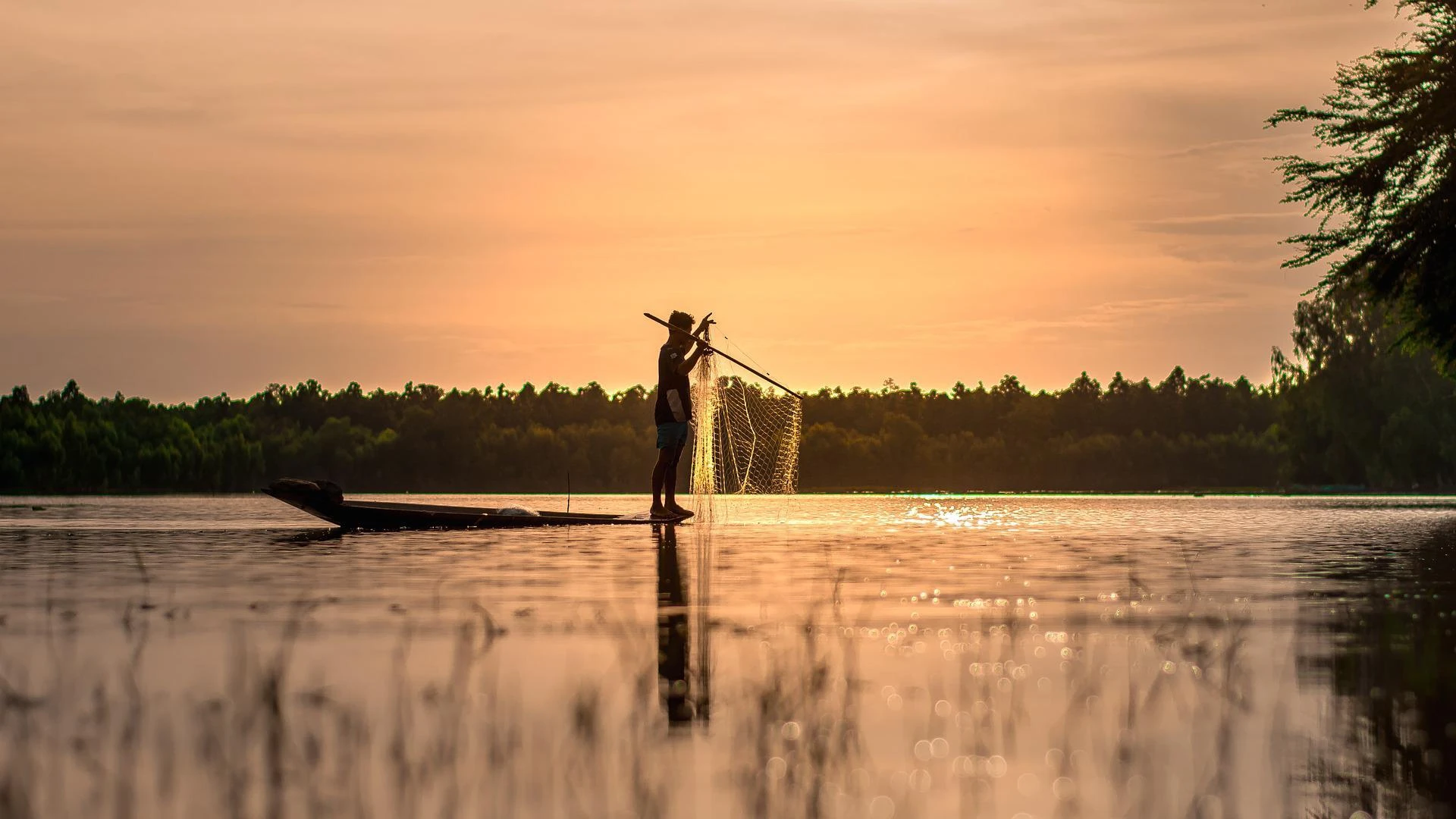 What Is Meant By Fish Processing Plant Management?