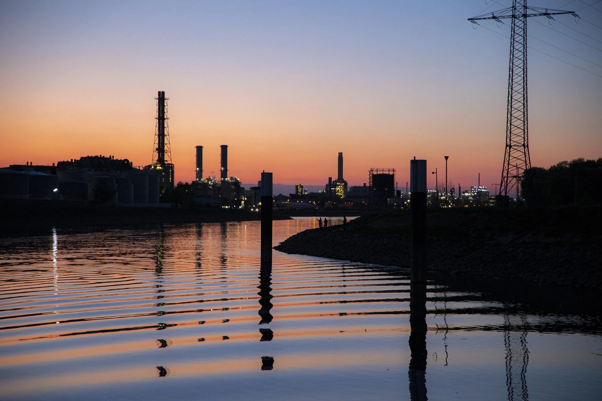 What Is Meant By Fish Processing Plant Management?