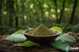 Exploring the World of Expert Kratom Powder: Benefits and Usage