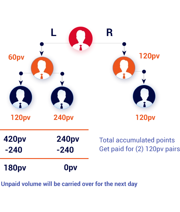What is a binary MLM business plan?