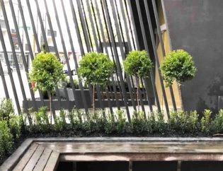 Different Ways To Handle Landscape Maintenance