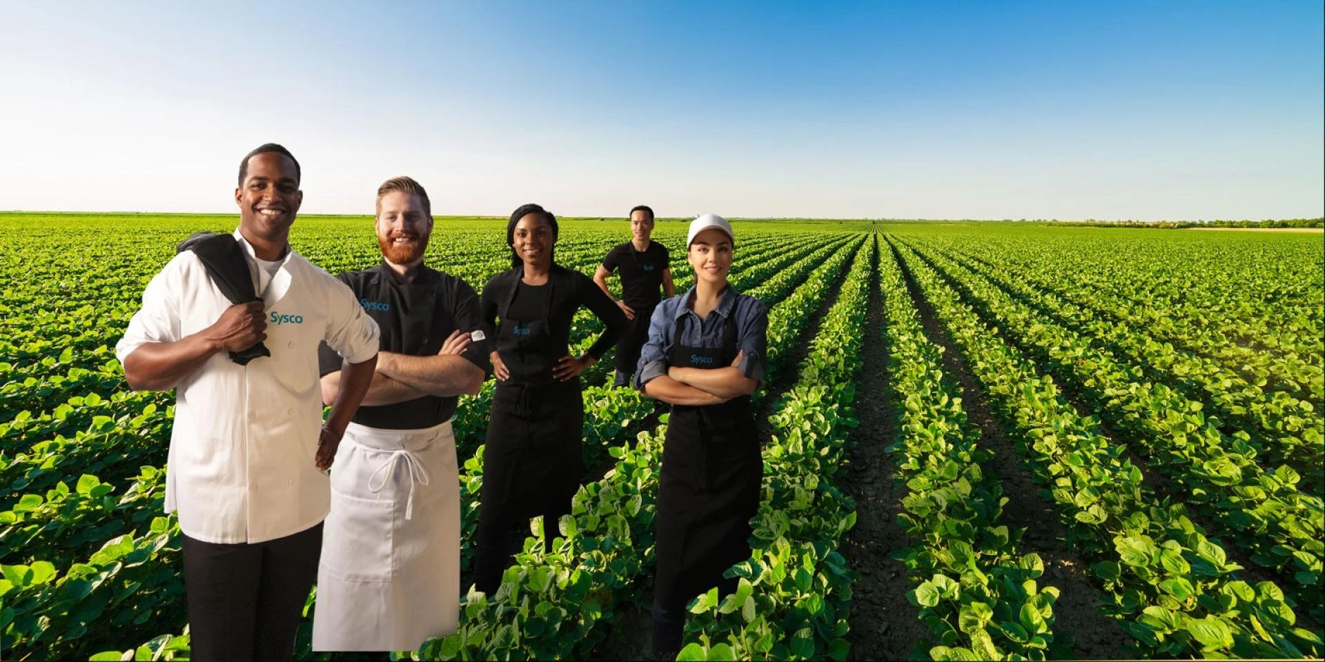 How to Find a Good Wholesale Food Distributor