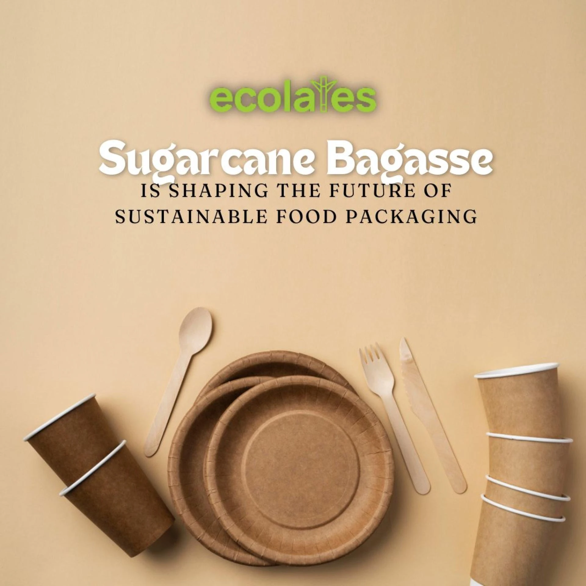 Eco-Friendly Plates &amp; Bowls: How Sugarcane Bagasse is Shaping the Future of Sustainable Food Packaging