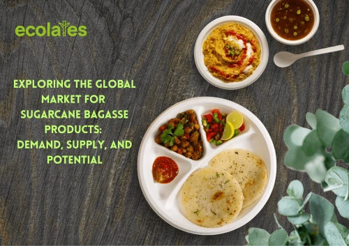 Exploring the Global Market for Sugarcane Bagasse Products: Demand, Supply, and Potential