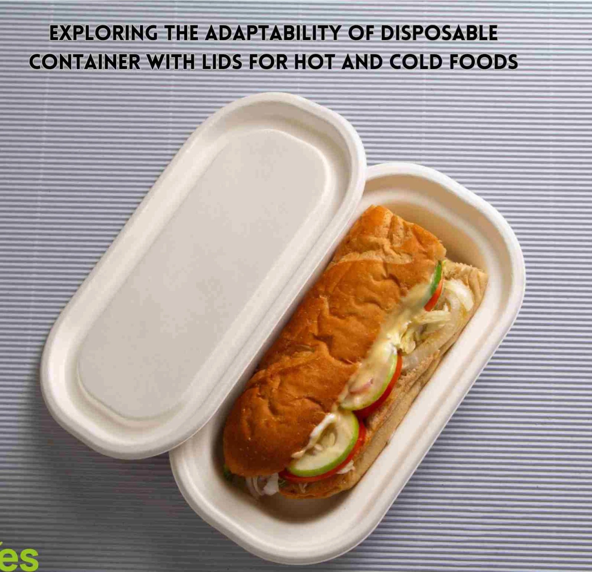 Exploring the Adaptability of Disposable Container with Lids for Hot and Cold Foods