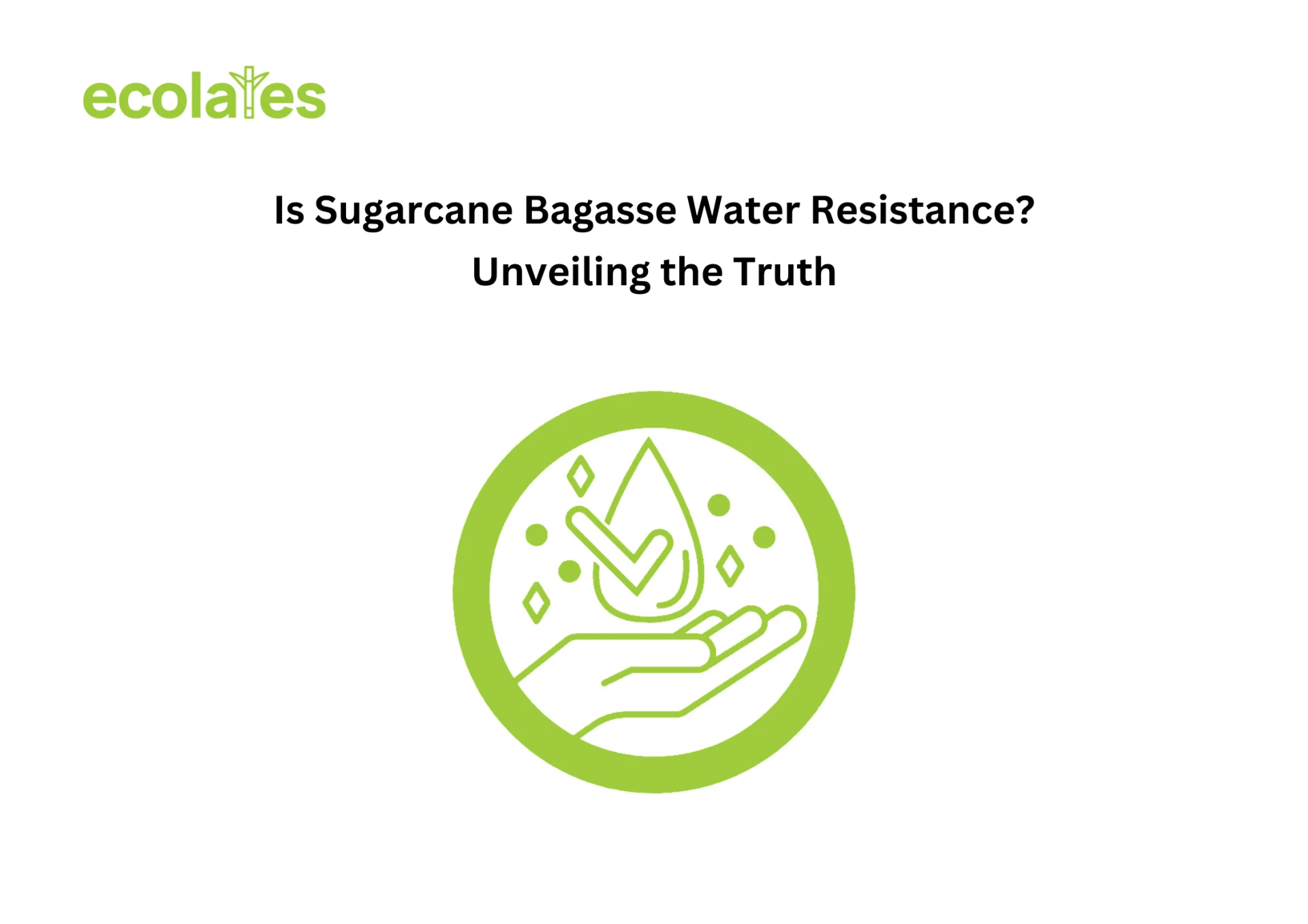 Is Sugarcane Bagasse Water Resistance? Unveiling the Truth