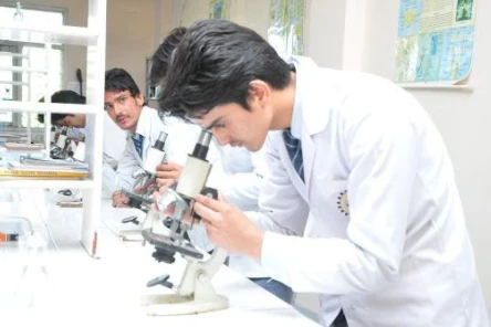 What Are The Best Career Options After Getting Your Pharmacy Degree