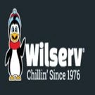Metal Roofing Repair Services by Wilserv