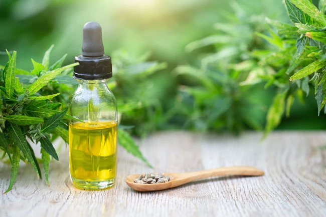 USDA Hemp Rules - High Falls Hemp