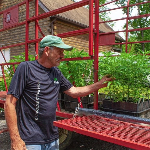 The Genesis of The High Falls Hemp Journey - High Falls Hemp