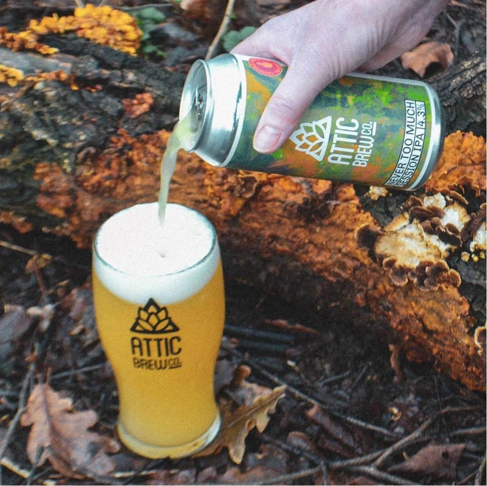 Popular Food and Drinks Served in British Pubs