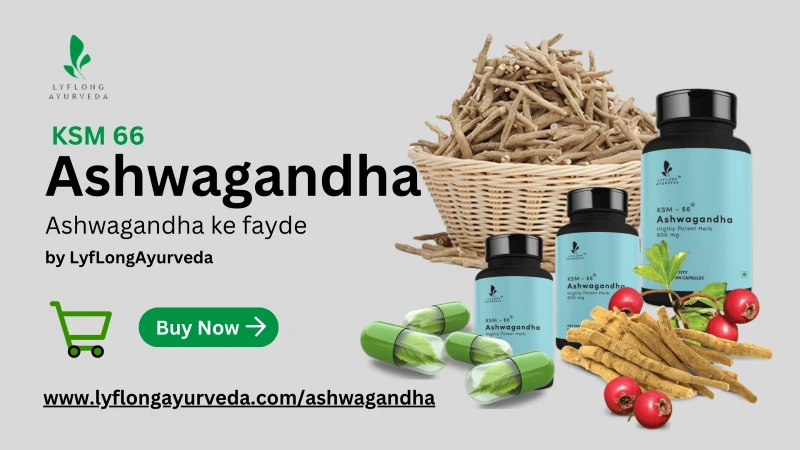 Embrace Ayurveda for Optimal Health: Lyflong Auyrveda