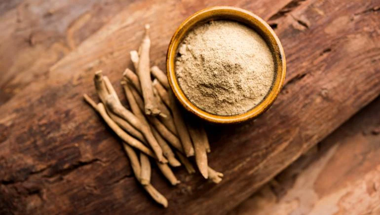 Can female take ashwagandha? A Study by LyfLong Ayurveda