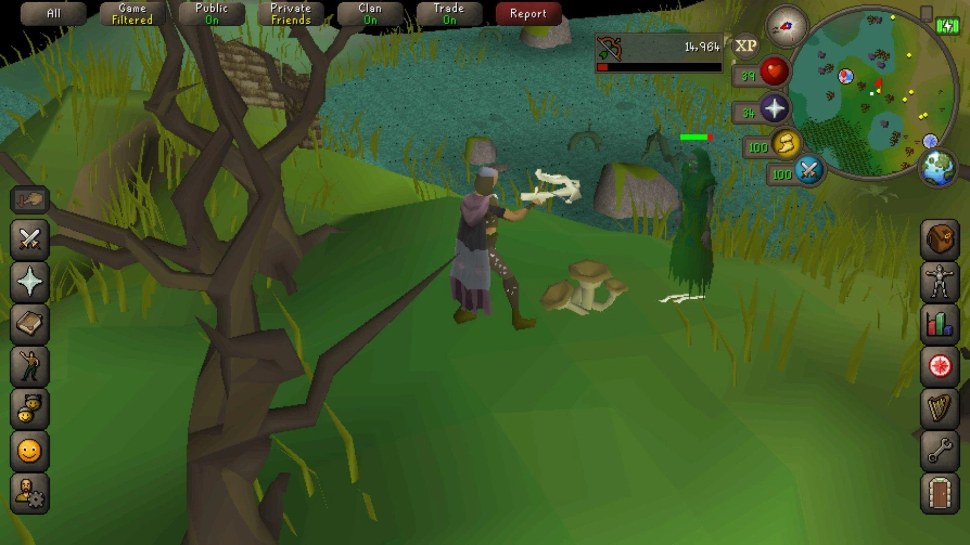 I've been playing with RuneScape