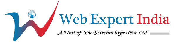 Web Designing Company in Delhi