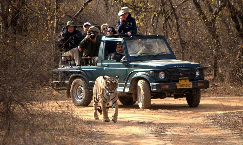 Information about Ranthambore National Park Safari Booking