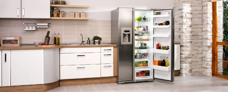 Buying Guide to Purchase Best Refrigerator in India
