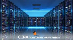 Jobs in the Government for CCNA Graduates