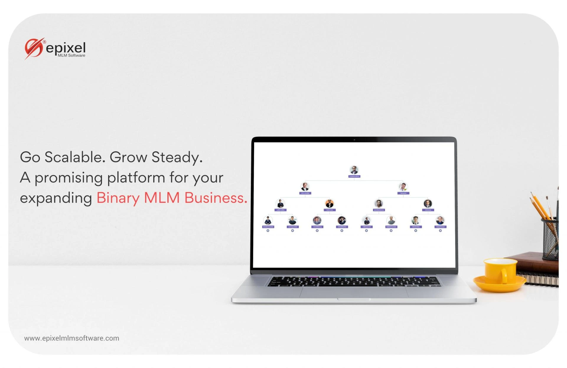 Binary Plan MLM Software: The Startup and Enterprise-ready Solution for your network marketing business