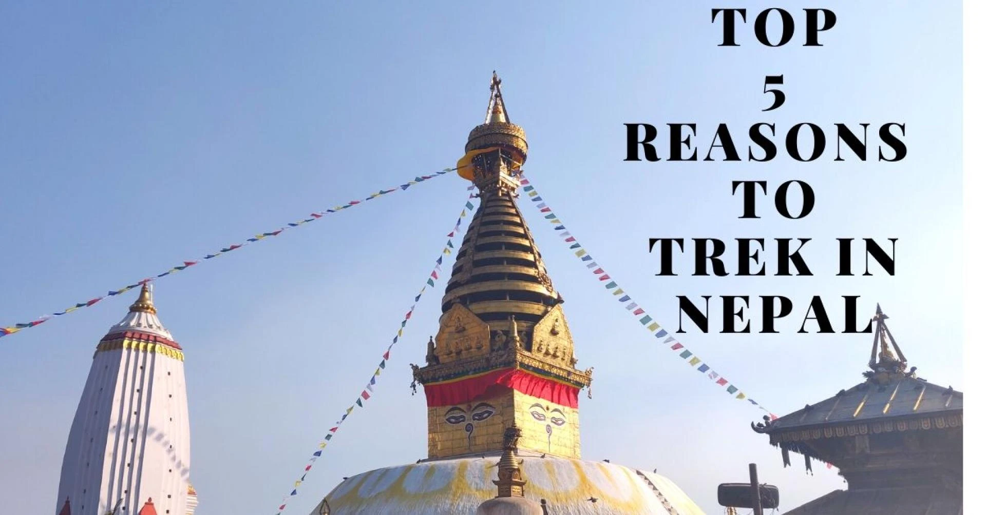 Top 5 Reasons to trek in Nepal | Why Trek in Nepal - Marvels of Nepal