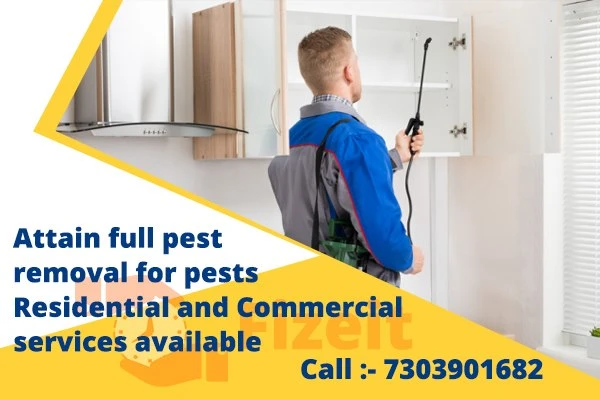 Best Pest Control Services Company Price in Delhi &amp; Gurgaon