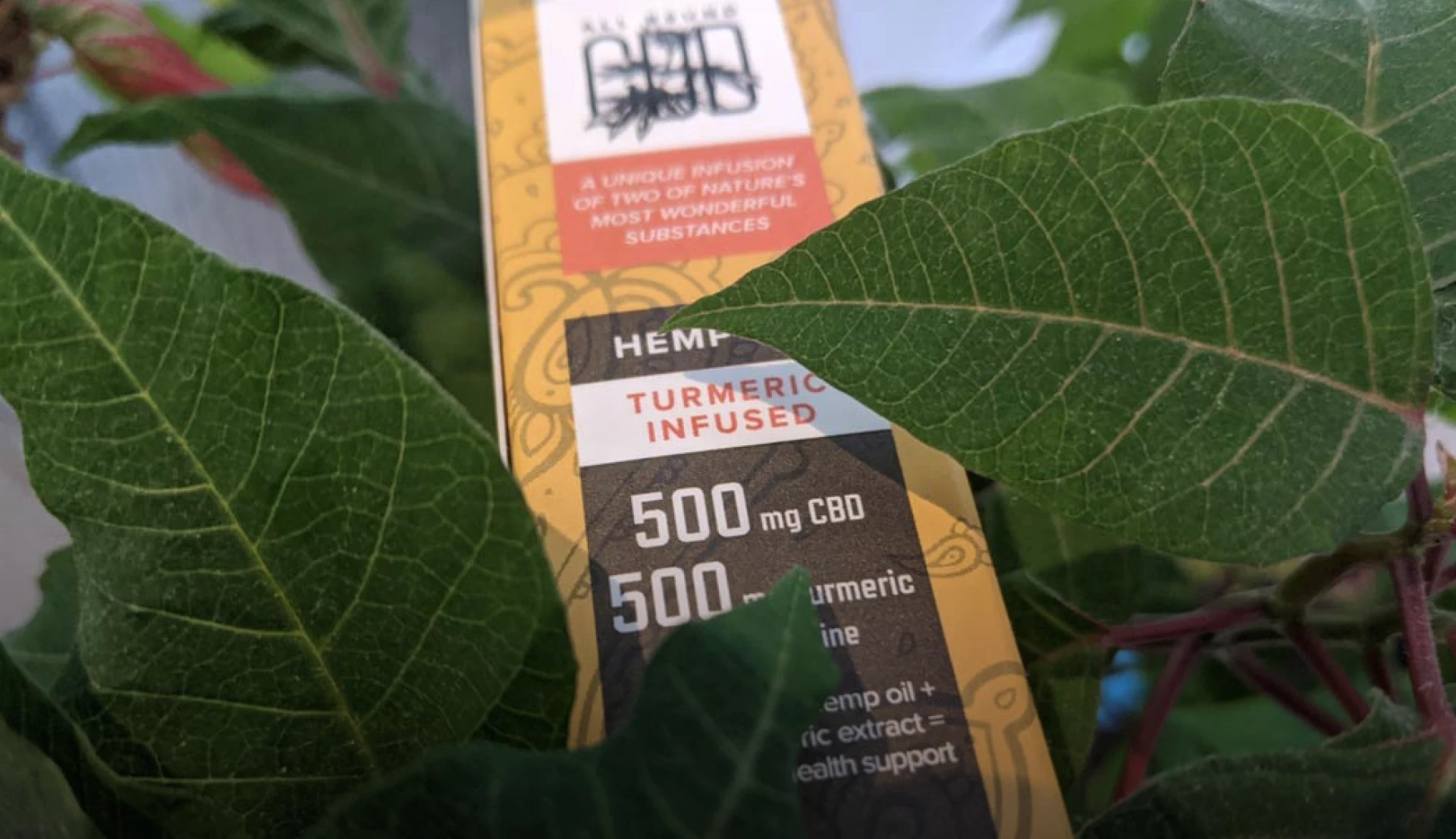 Welcome to All Round CBD