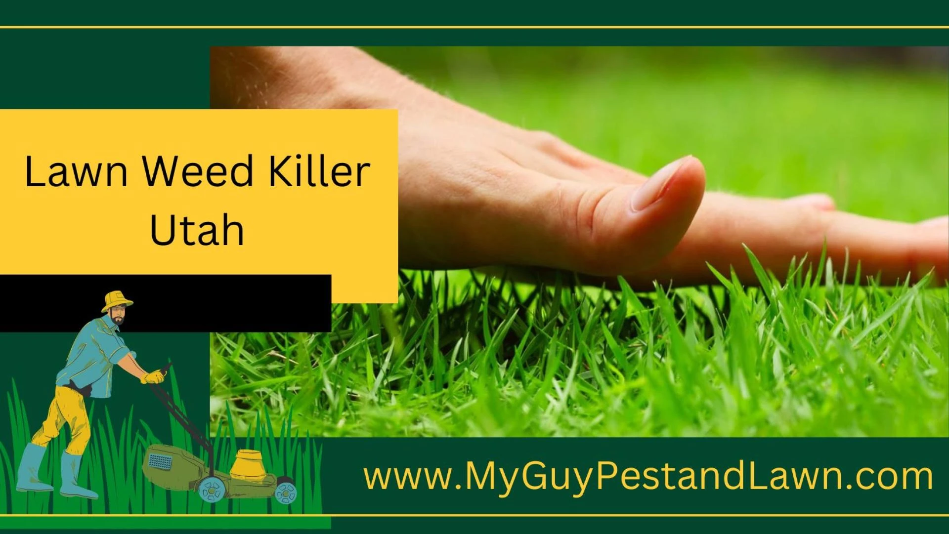 Kill Lawn Fungus with the Help of My Guy Pest and Lawn in Utah
