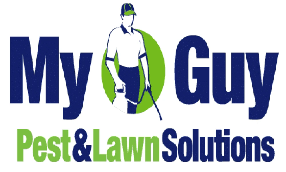 Quality Bed Bugs Removal Services at best price