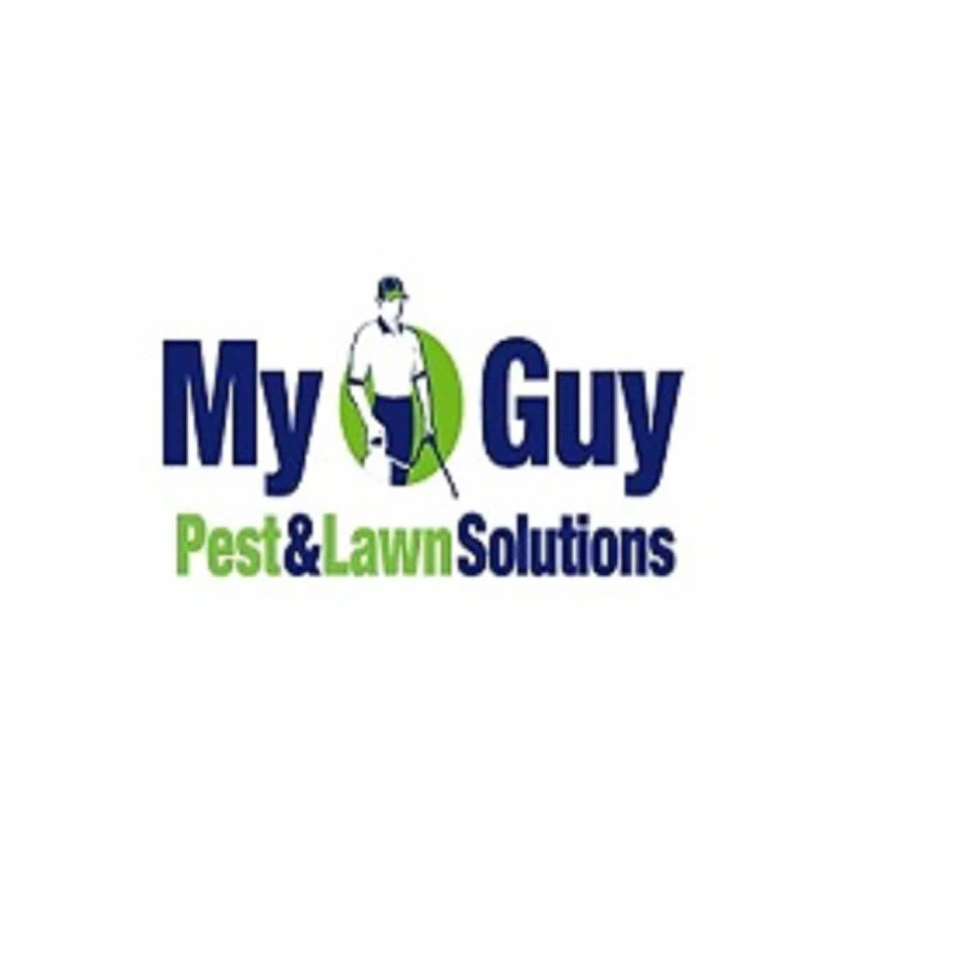 Eliminate box elder bugs through box elder bugs Utah