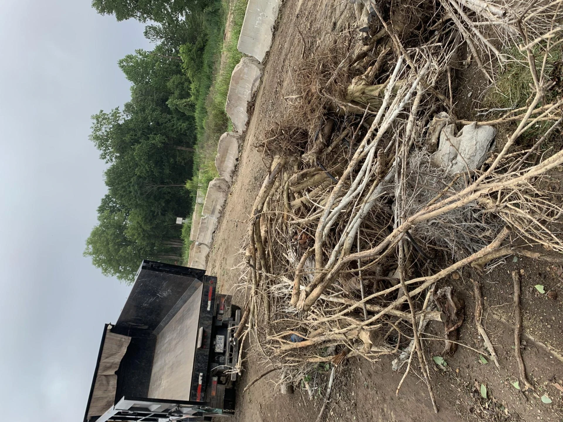 Best yard Removal Services in Raleigh, NC | 1-888-PIK-IT-UP