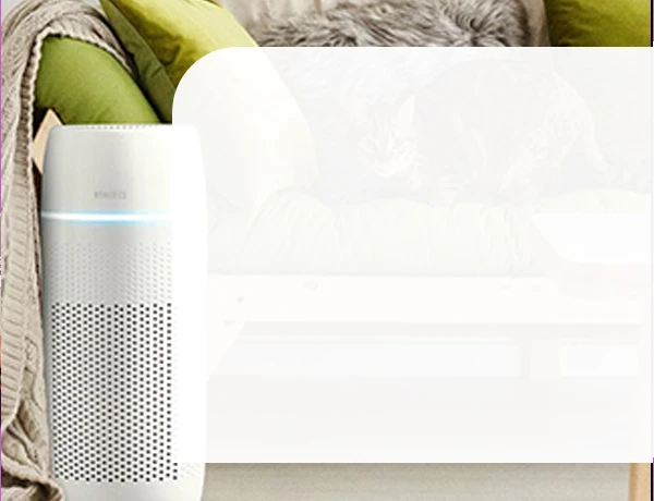 The 3 Most Typical Oversights People Make When Choosing An Air Purifier