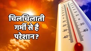 चिलचिलाती गर्मी से है परेशान? राहत दिलाएंगे ये Cooling Herbs,रोज करें सेवन