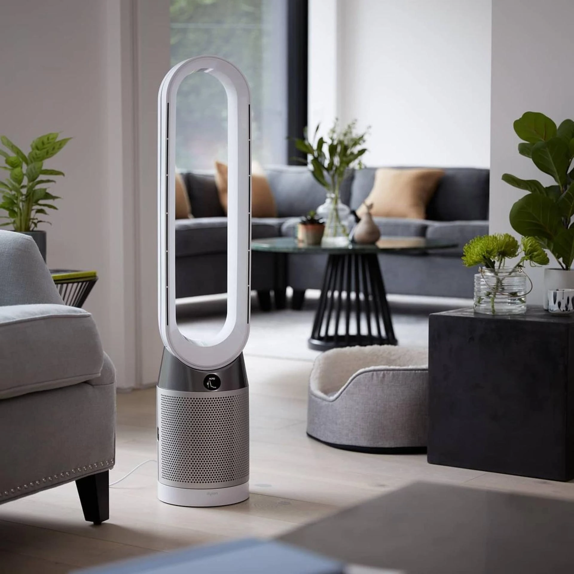 Buy Air Purifiers Online in India | Dyson