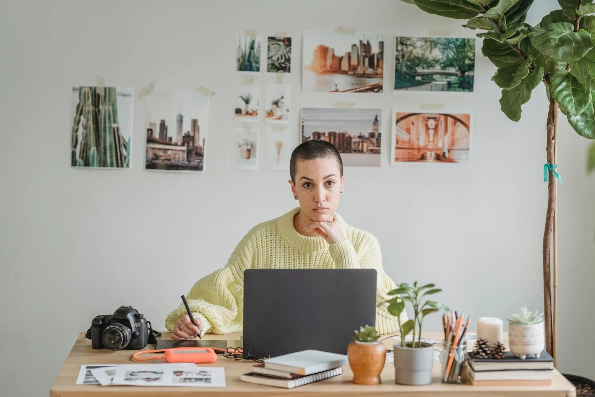 The Ultimate Guide for Assignment Help USA Online